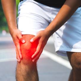 Knee