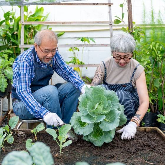 Garden Tools