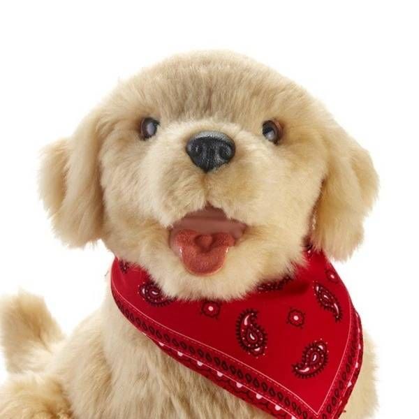 Interactive Companion Dog