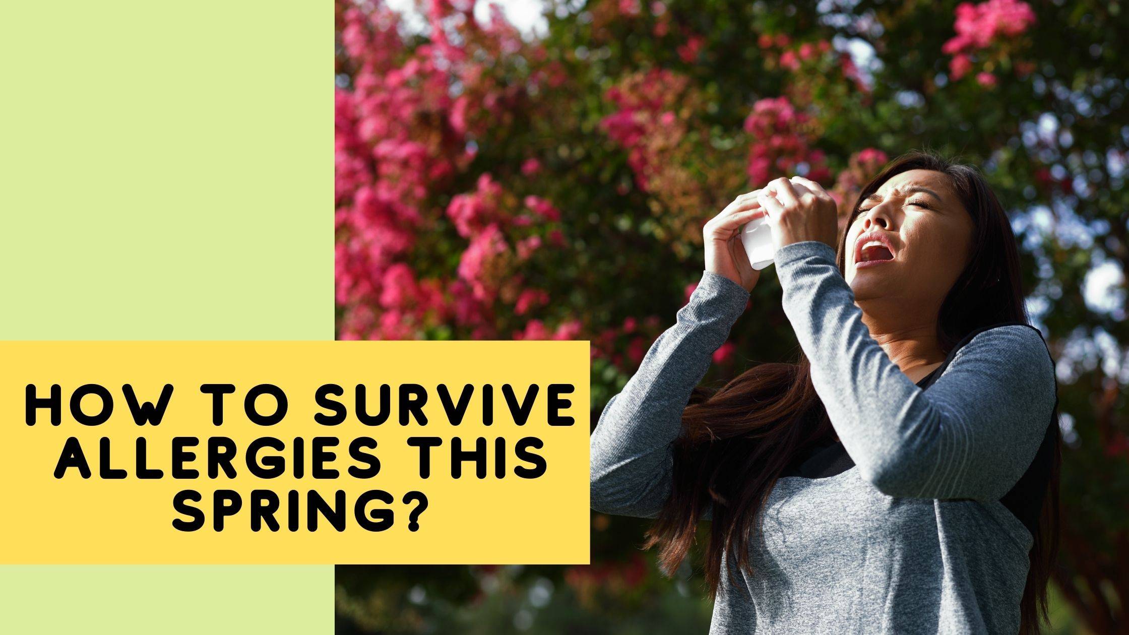 How to survive allergies this spring?
