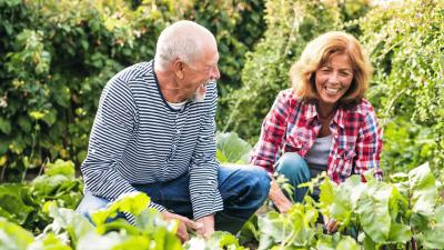 Supporting Older Adults